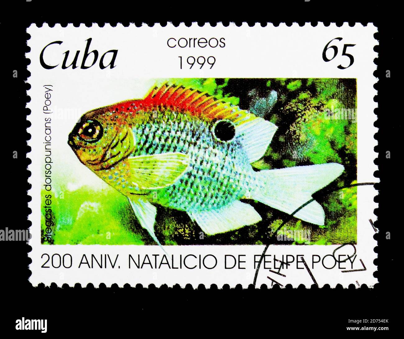 MOSCOW, RUSSIA - NOVEMBER 25, 2017: A stamp printed in Cuba shows Scarlet-backed Demoiselle (Stegastes dorsopunicans), 200th Birth of Felipe Poey Aloy Stock Photo