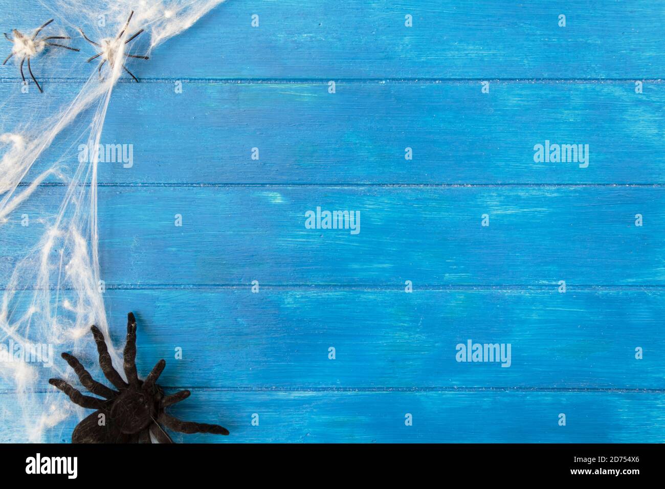 Top view of spider web and spiders on bue wooden table with copy space ...