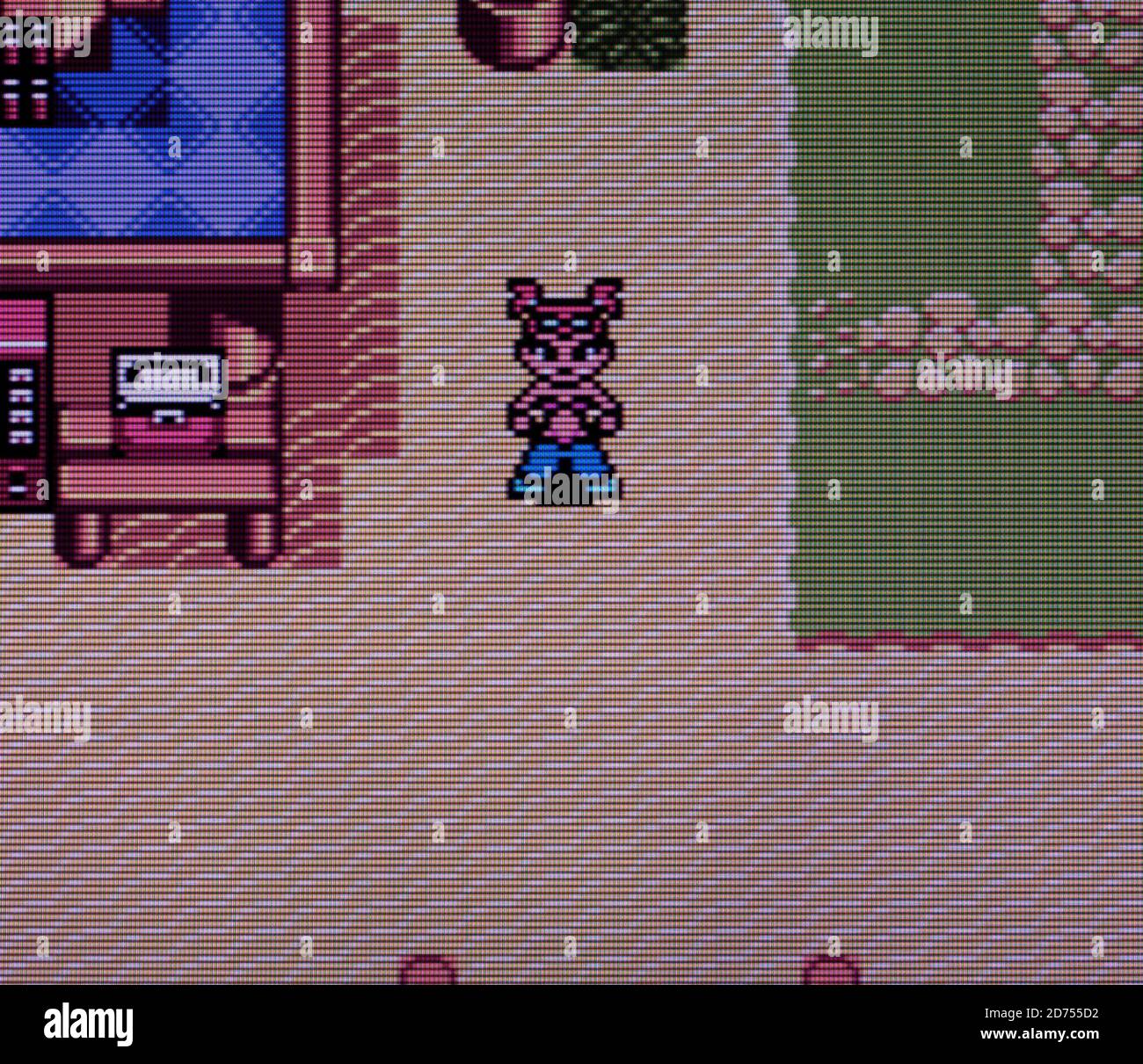 Xtreme Sports Nintendo Game Boy Color Videogame Editorial use only