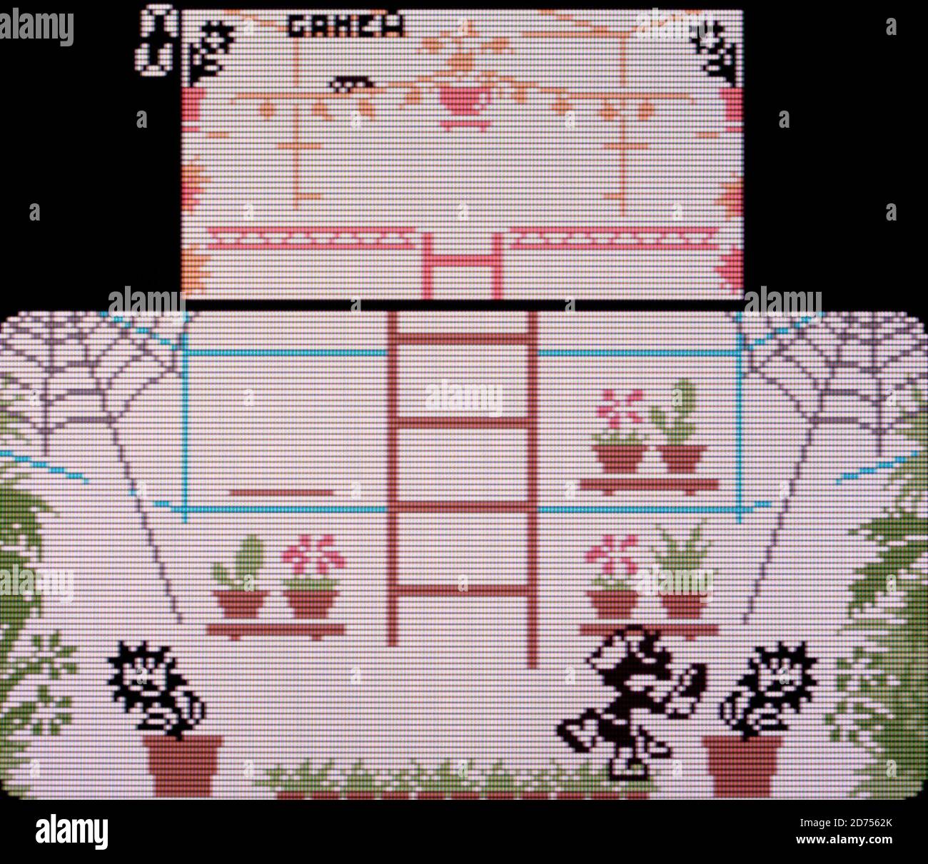 Game Watch Gallery 3 Nintendo Game Boy Color Videogame Editorial Use Only Stock Photo Alamy Game Watch Gallery 3 Nintendo Game Boy Color Videogame Editorial Use Only Stock Photo Alamy