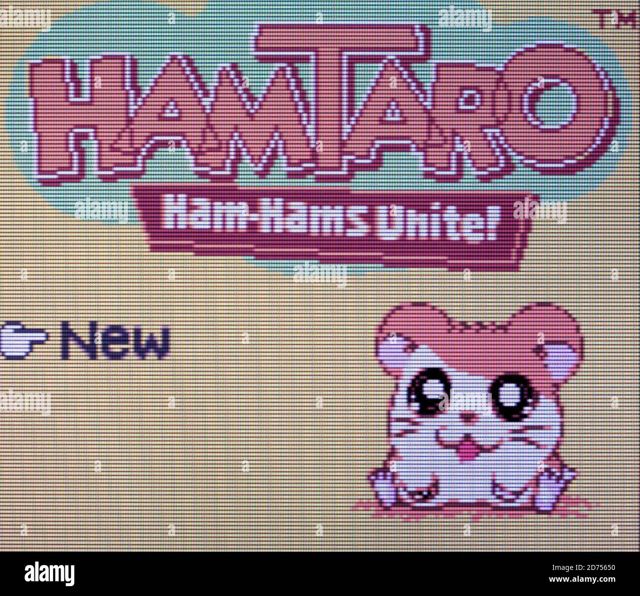 Hamtaro - Nintendo Game Boy Color Videogame - Editorial use only Stock Photo