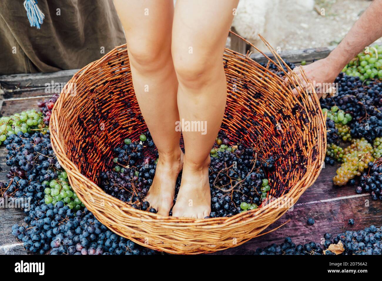 Woman crushes feet of grapes to make wine Stock Photo Alamy