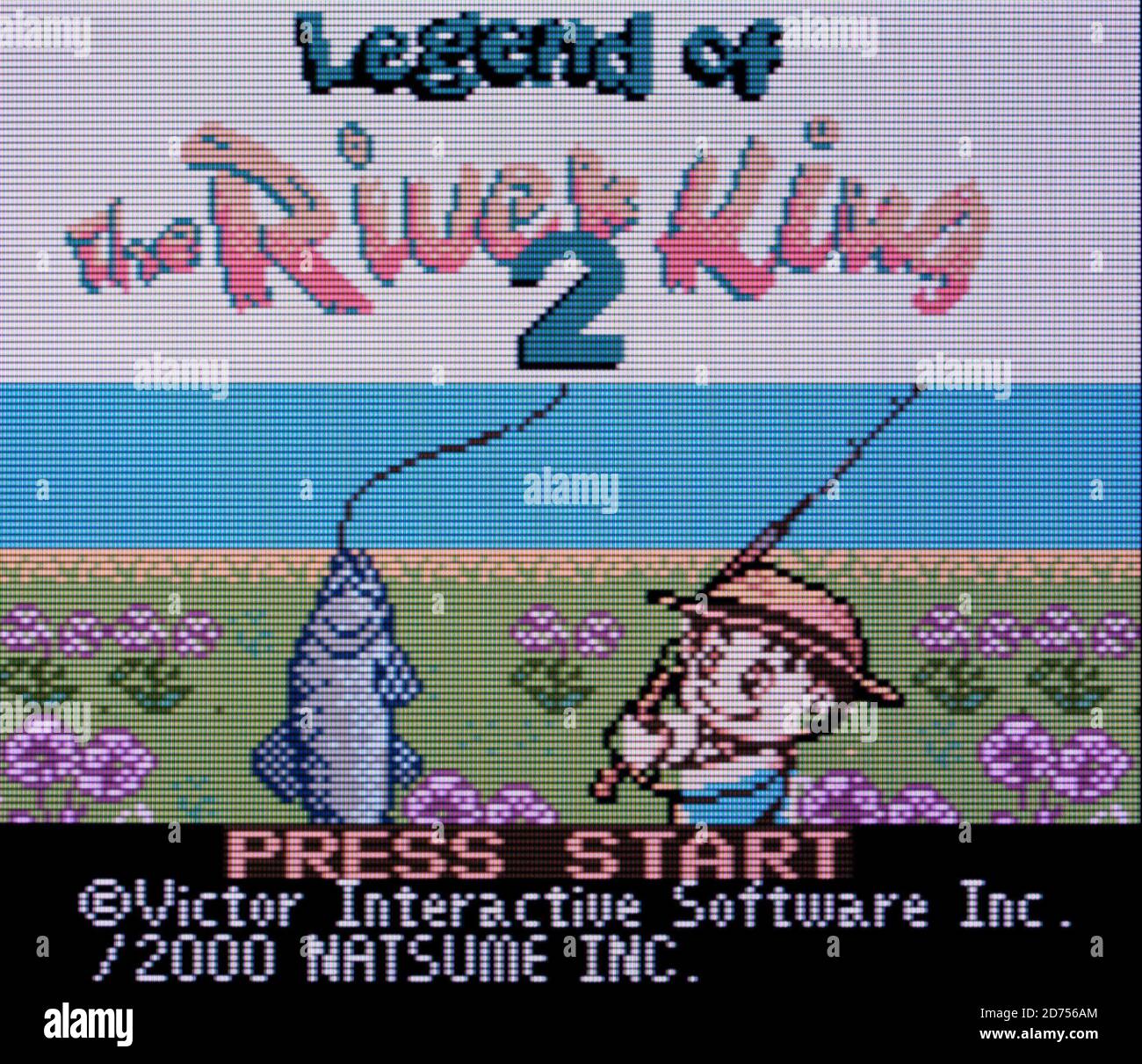 Legend of the River King 2 Nintendo Game Boy Color Videogame