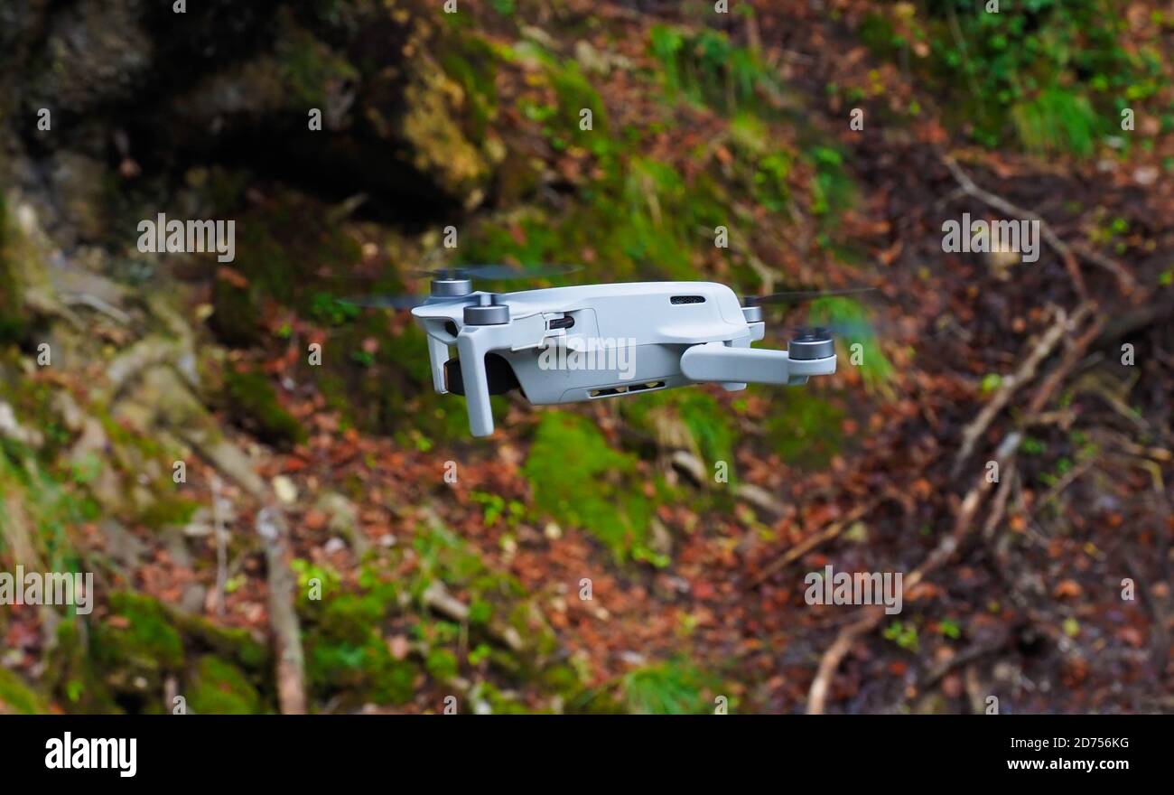 Forest spy black white hi-res stock photography and images - Alamy