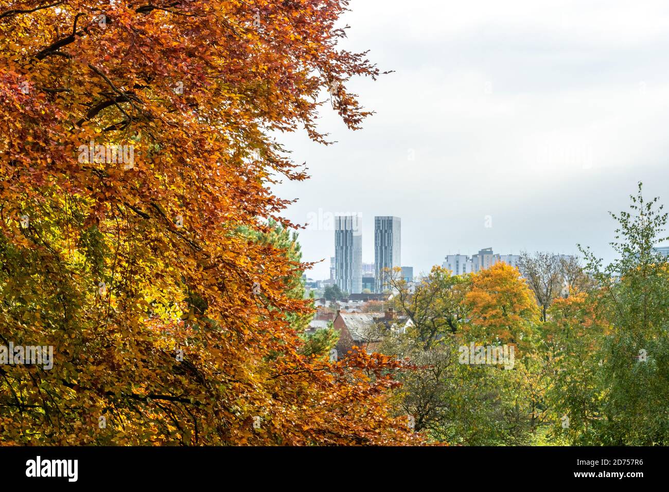 Twin or two skyscraper tower blocks seen from Buile Hill Park, Salford, England UK Stock Photo