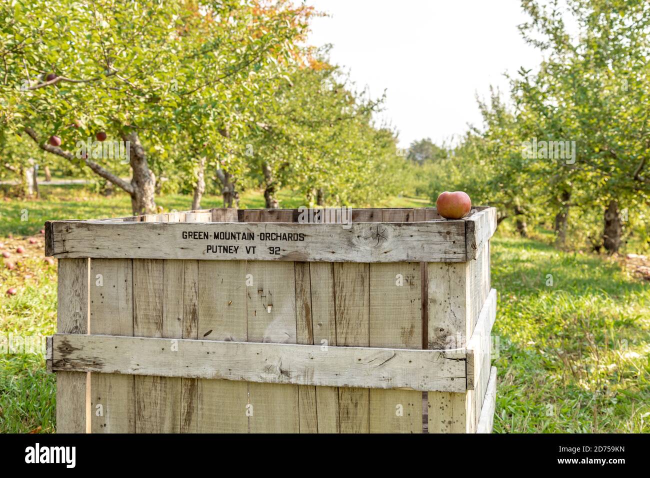 Wooden apple crate at Green Mountain Orchards in Putney Vermont Stock Photo