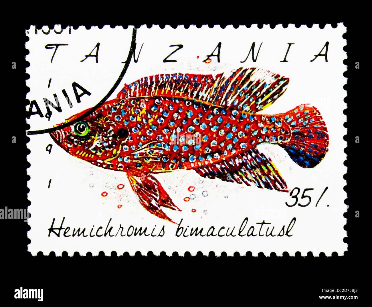 MOSCOW, RUSSIA - NOVEMBER 25, 2017: A stamp printed in Tanzania shows Jewel Cichlid (Hemichromis bimaculatus), Fish serie, circa 1991 Stock Photo