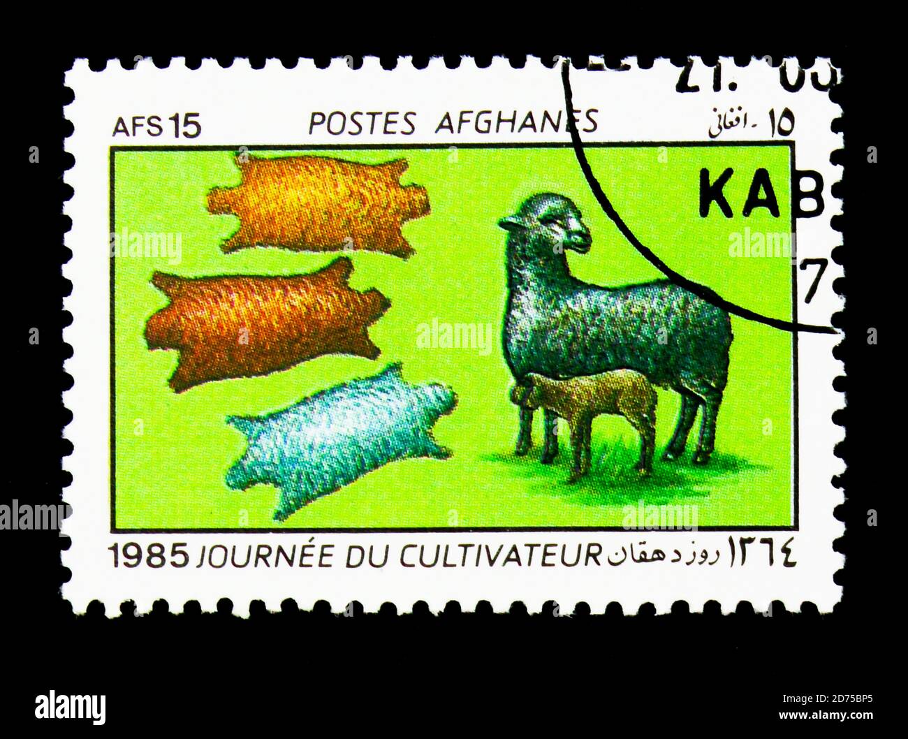 MOSCOW, RUSSIA - NOVEMBER 25, 2017: A stamp printed in Afghanistan shows Karakul Sheep (Ovis ammon aries) and sheepskins, serie, circa 1985 Stock Photo