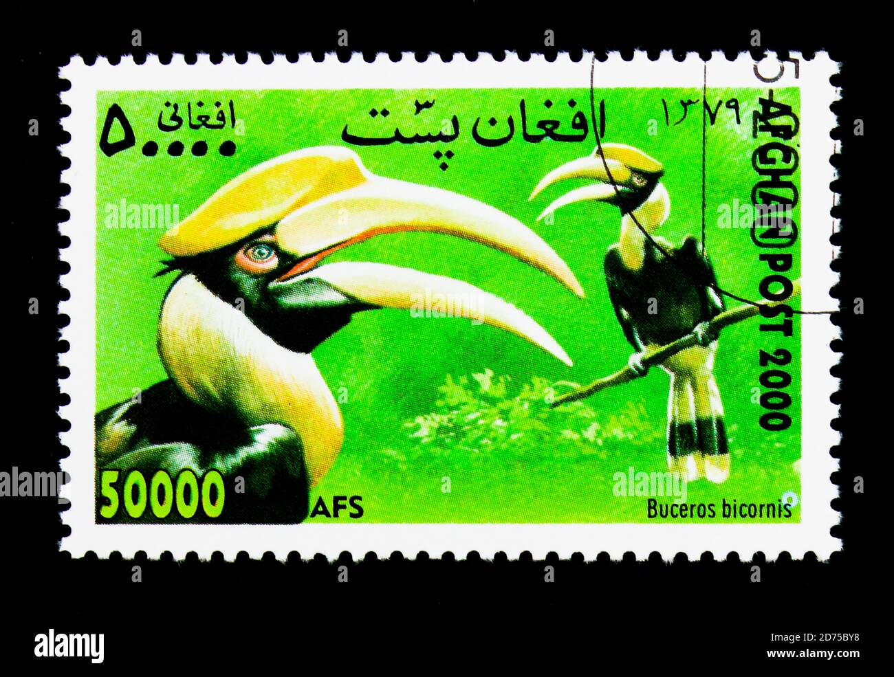 MOSCOW, RUSSIA - NOVEMBER 25, 2017: A stamp printed in Afghanistan shows Great Hornbill (Buceros bicornis), International Stamp Exhibition WIPA '00, V Stock Photo