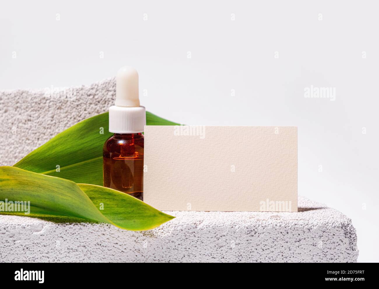 Cosmetology business card mock up. Eco natural style. Cement and green leaf. Beauty clinic card. Still life style. White backgound Stock Photo