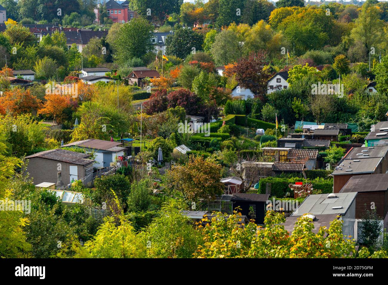Allotment garden at Westpark in Bochum, former steel mill site in the western city centre, NRW, Germany, Stock Photo
