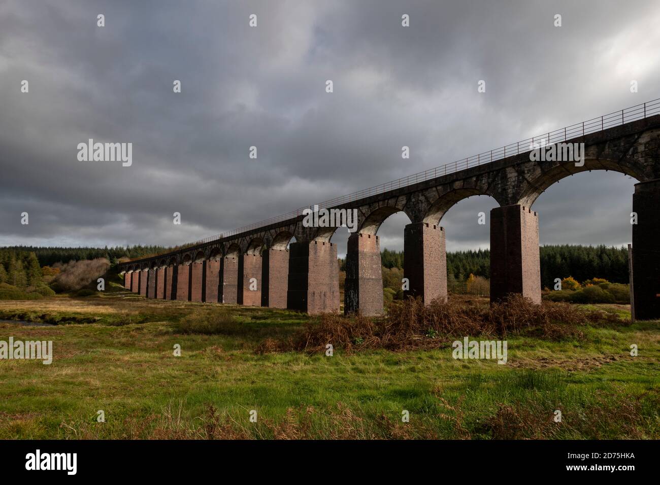 Viaduct over Big Water of Fleet in Cairnsmore NNR Stock Photo