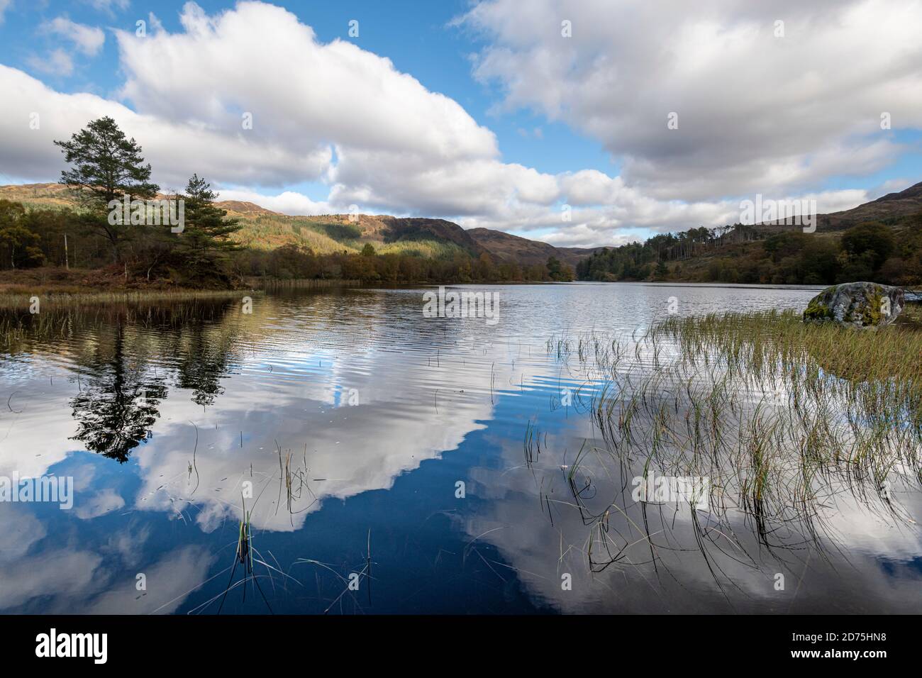 Loch Trool, Galloway Forest Park on a bright autumn day. A view from the Loch Trool loop trail. Stock Photo