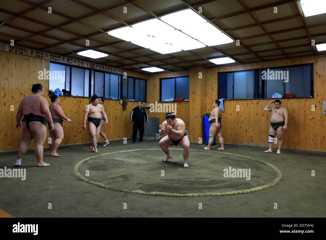 Japanese Sumo wrestlers training inside a traditional Sumo stable in ...