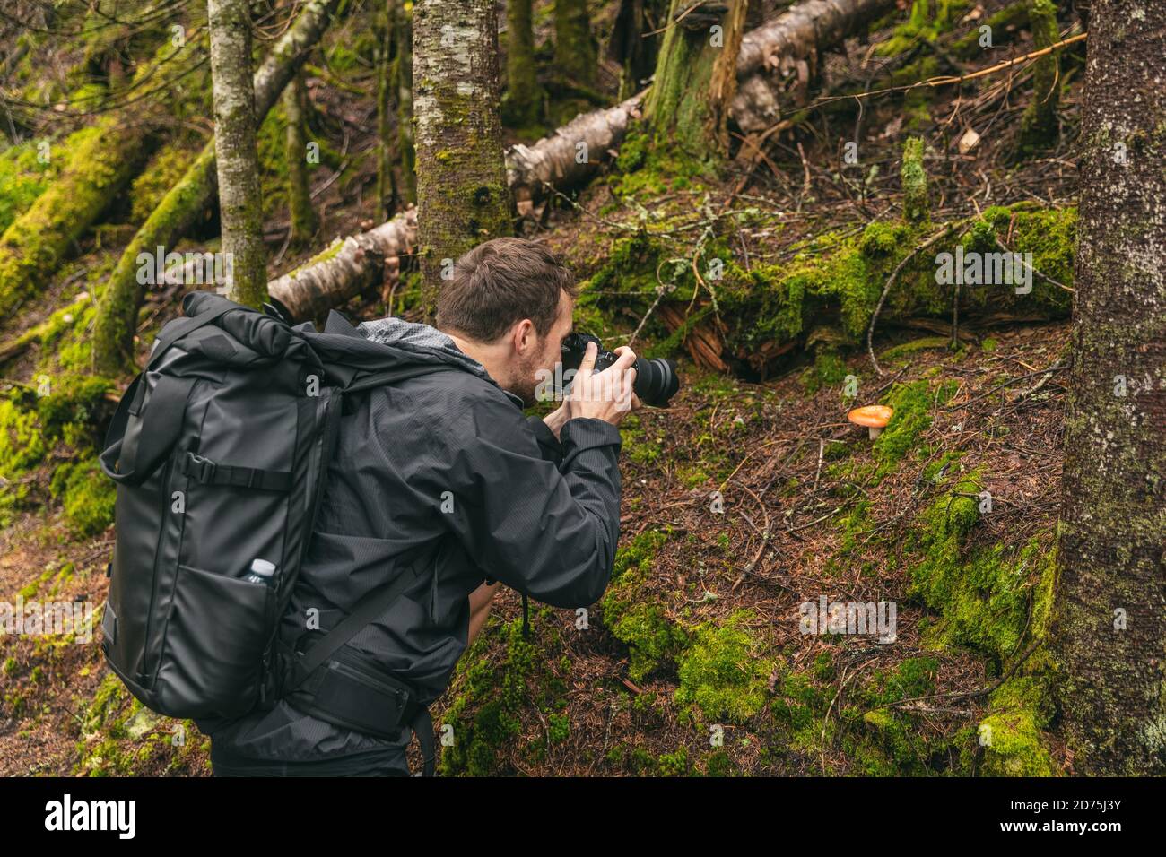 Nature still photography photographer man with professional slr camera taking picture of wild mushroom in forest during trail hike Stock Photo