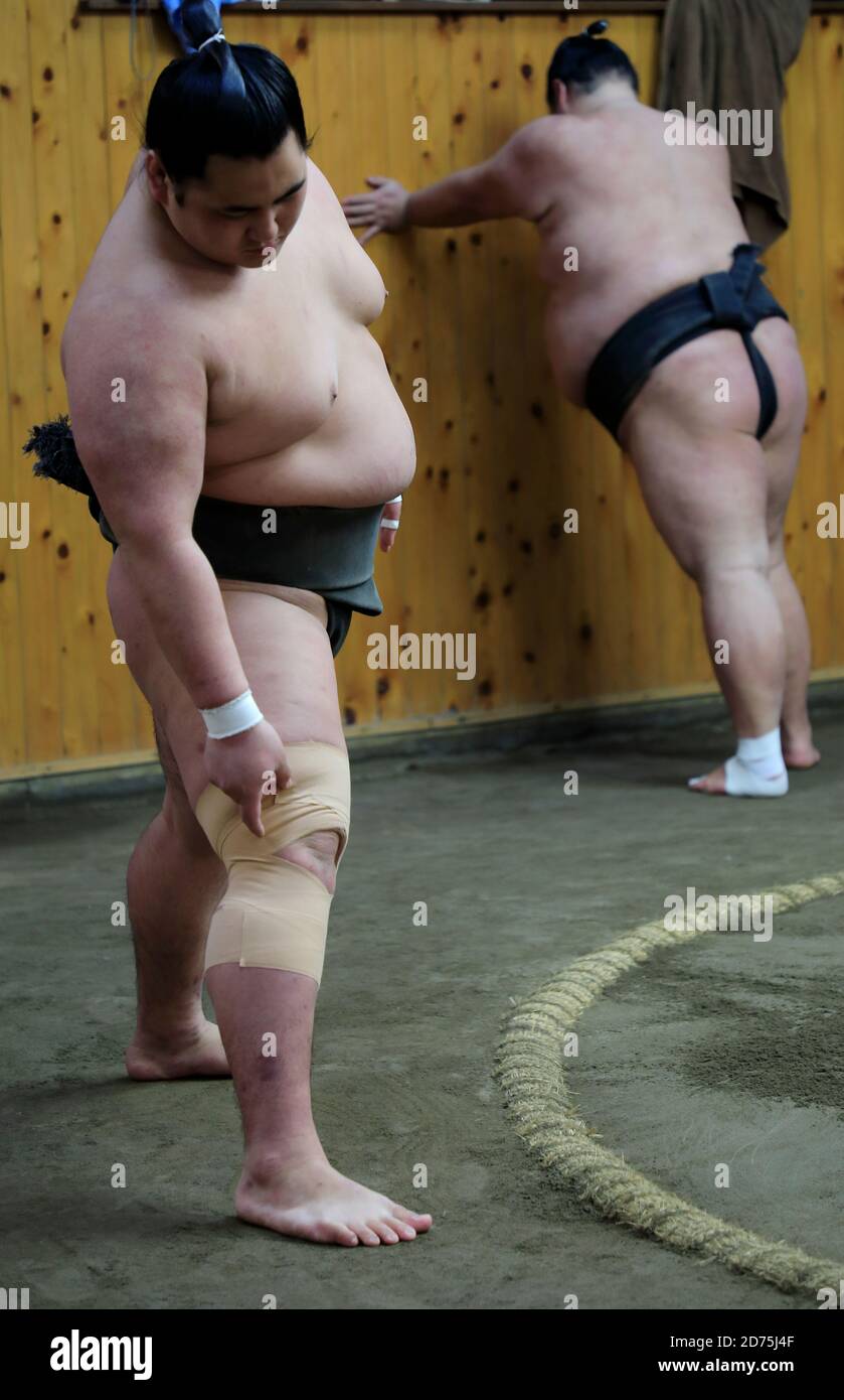 Japanese Sumo wrestlers training inside a traditional Sumo stable in ...