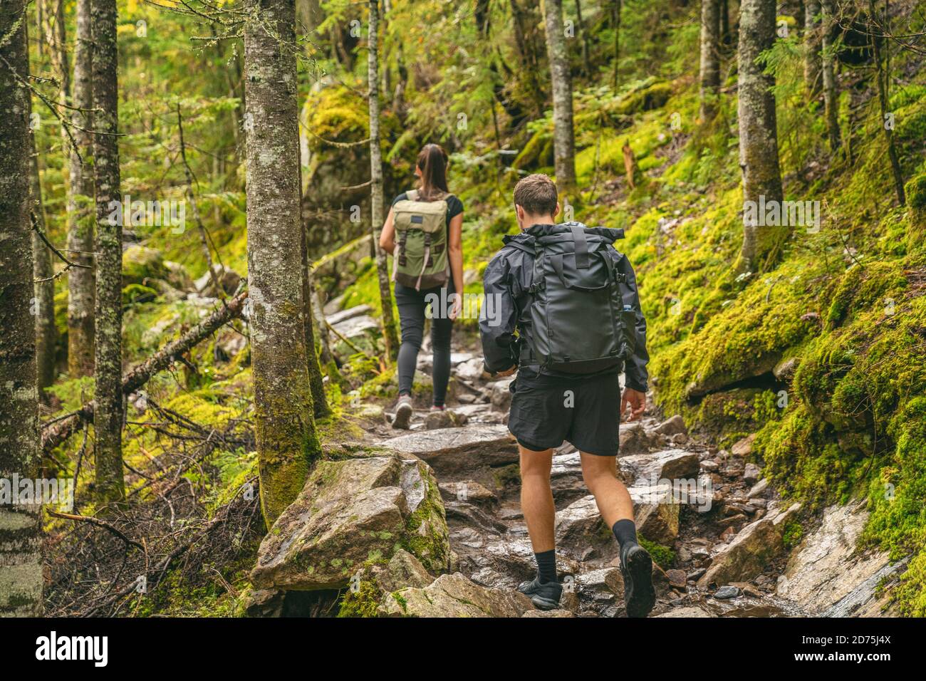 Hike couple hiking forest trail in Autumn nature going camping with backpacks. Friends woman and man walking uphill mountain Quebec Stock Photo - Alamy