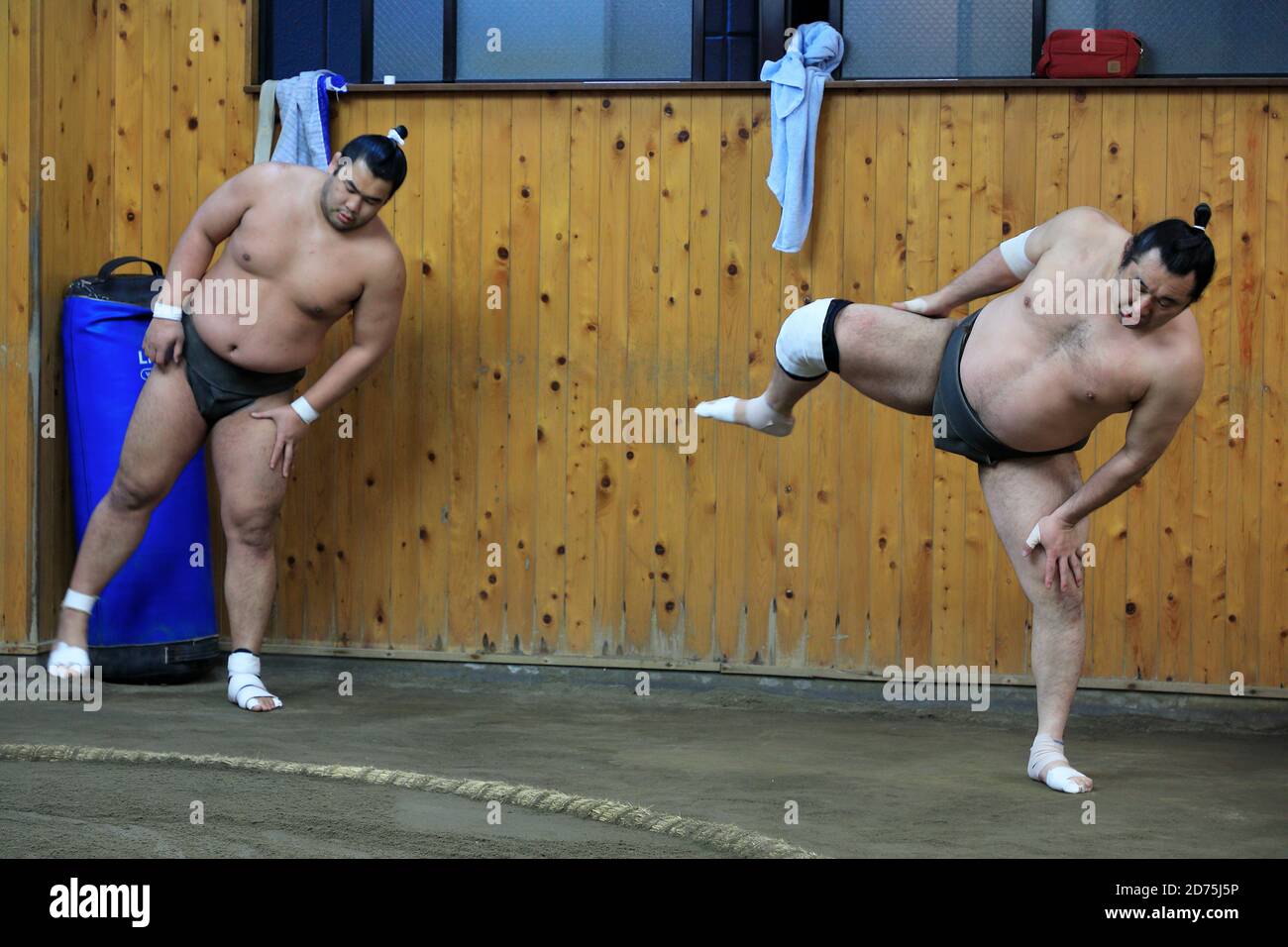 Japanese Sumo wrestlers training inside a traditional Sumo stable in ...