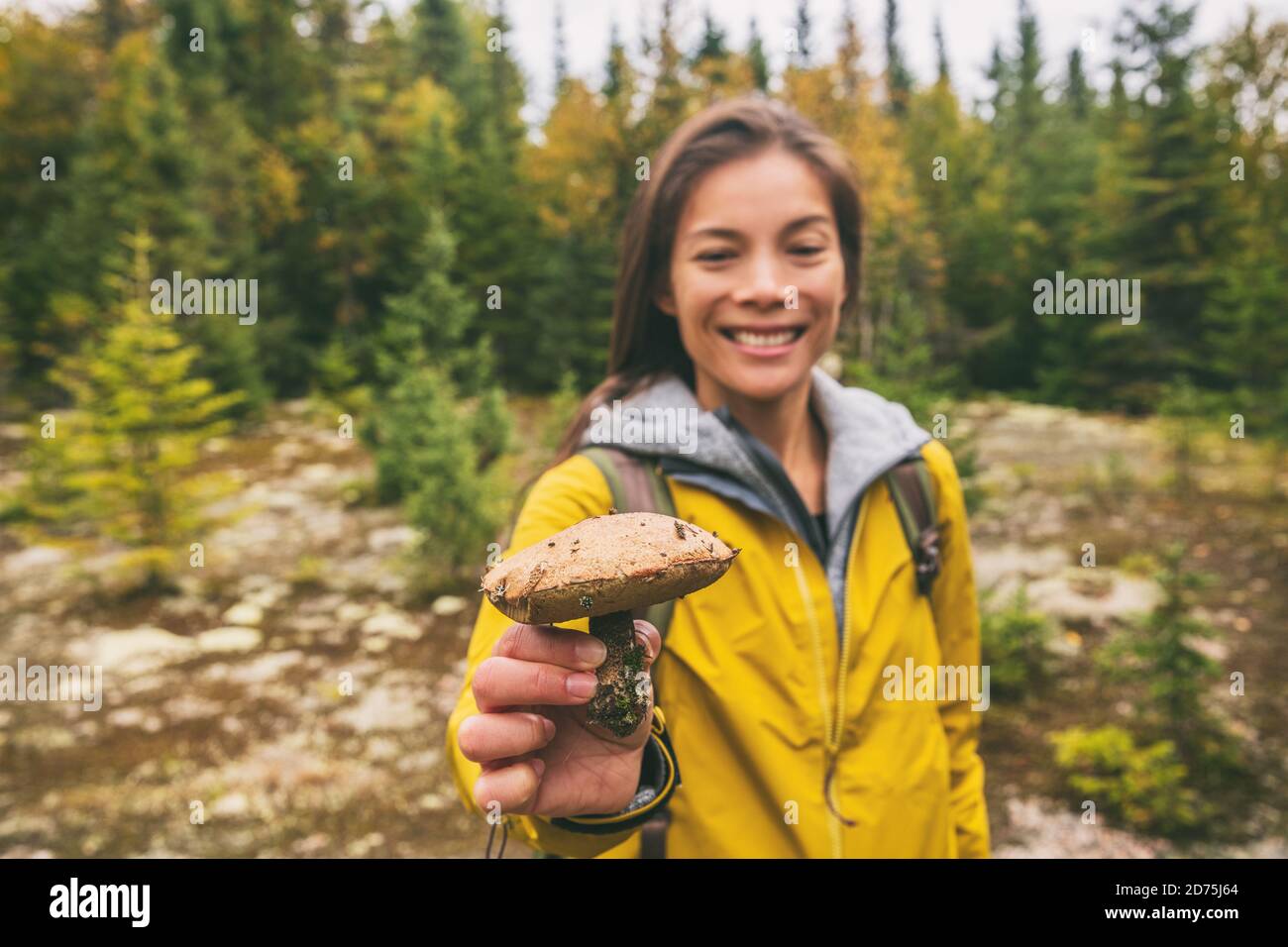 Mushroom picking girl collecting edible wild boletus mushrooms in nature forest outdoor fall autumn activity Stock Photo