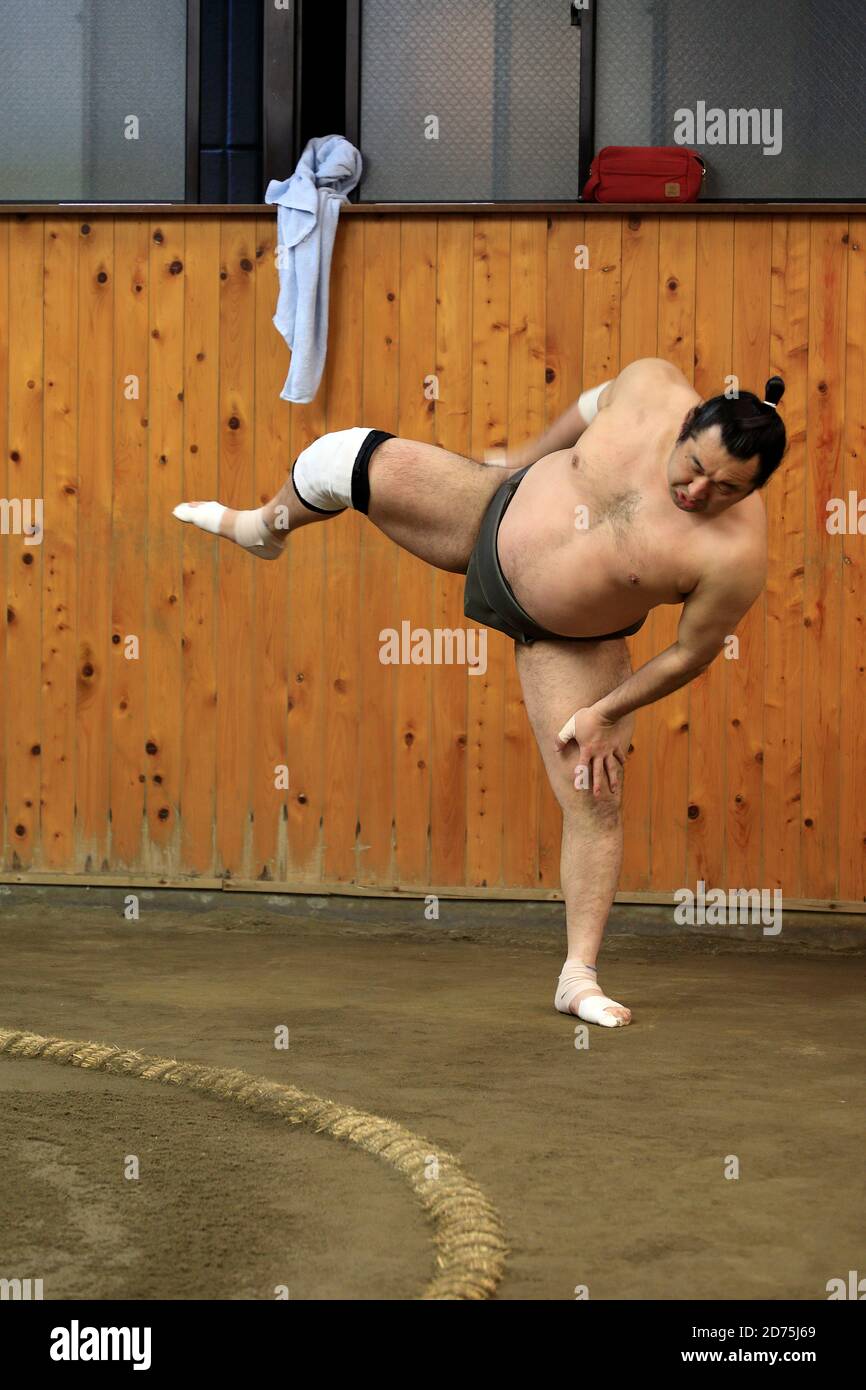 Japanese Sumo wrestlers training inside a traditional Sumo stable in