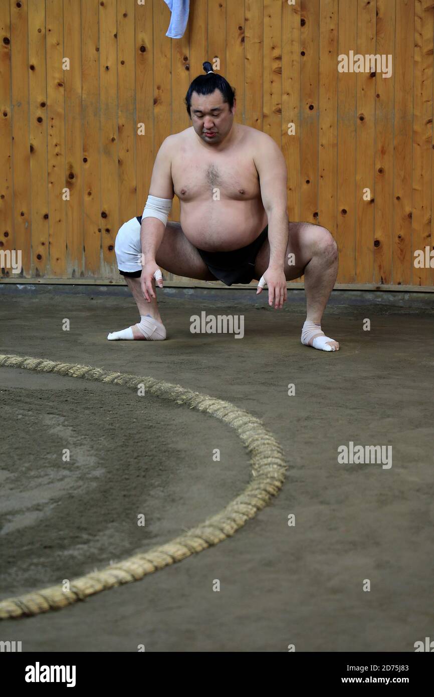 Japanese Sumo wrestlers training inside a traditional Sumo stable in