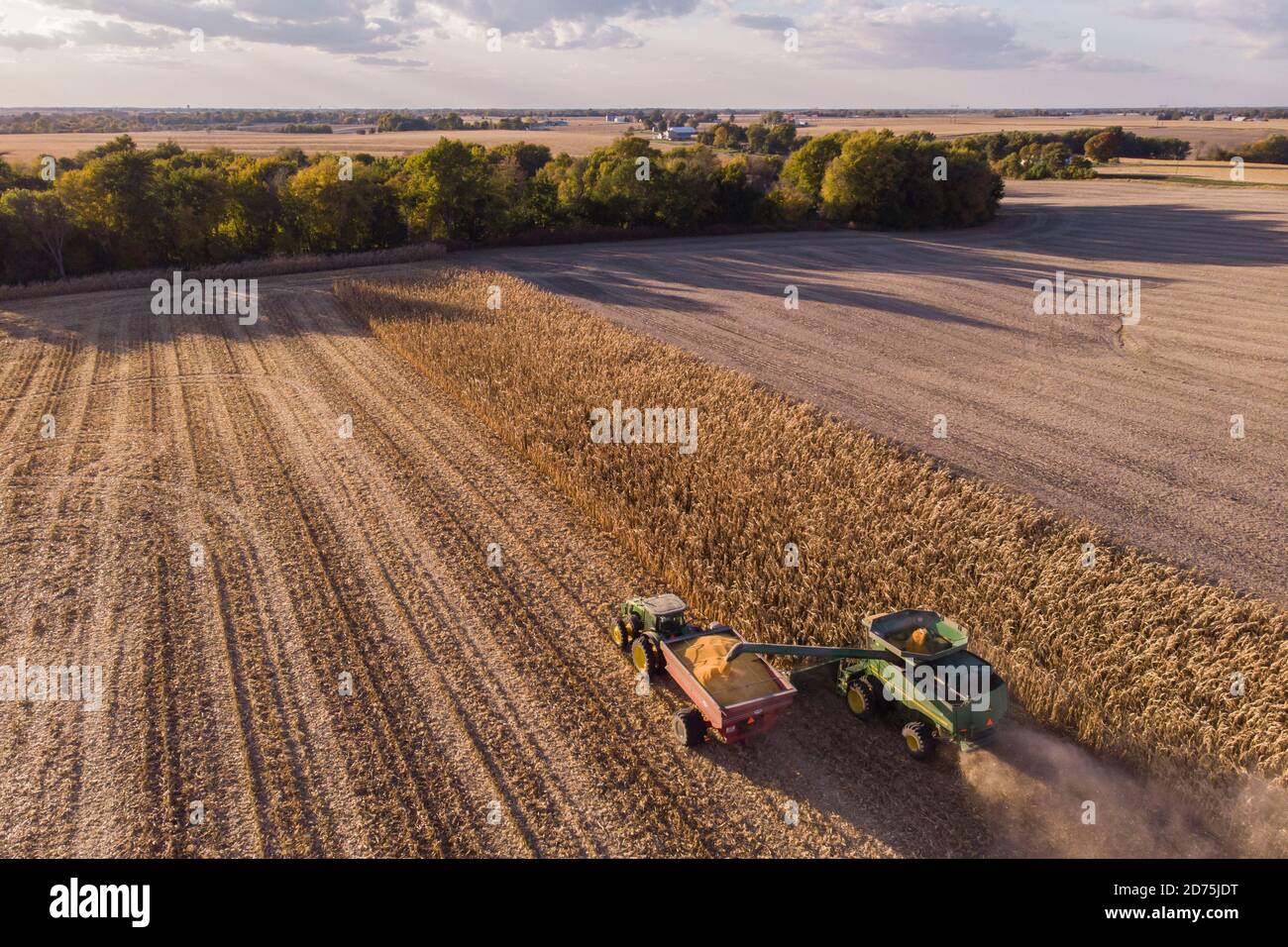 A combine and tractor harvest corn Stock Photo