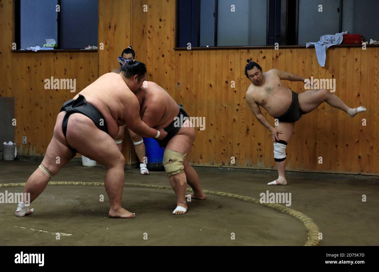 Japanese Sumo wrestlers training inside a traditional Sumo stable in ...
