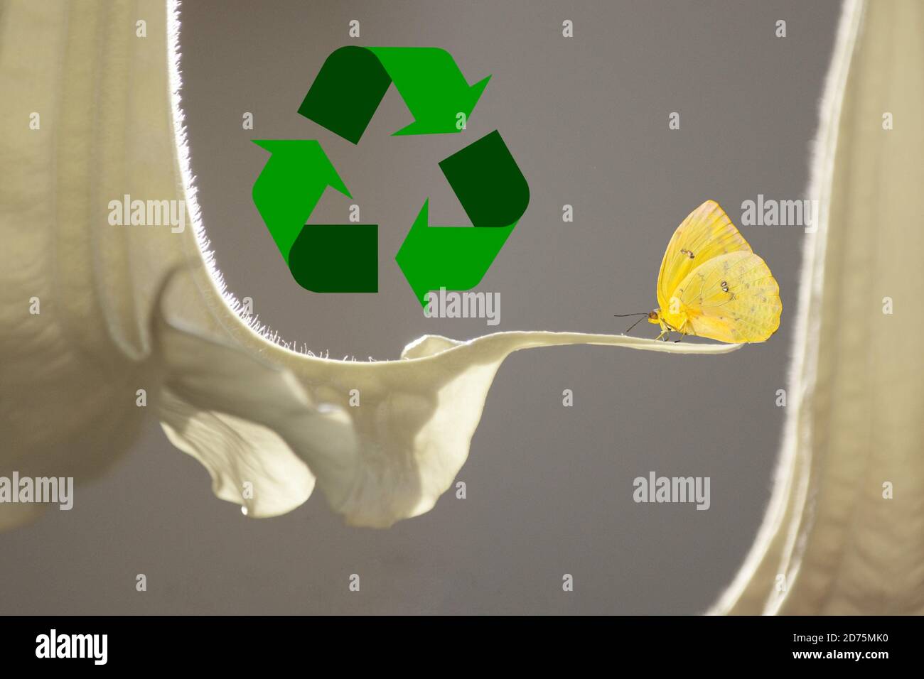 Recycle symbol with flowers Stock Photo