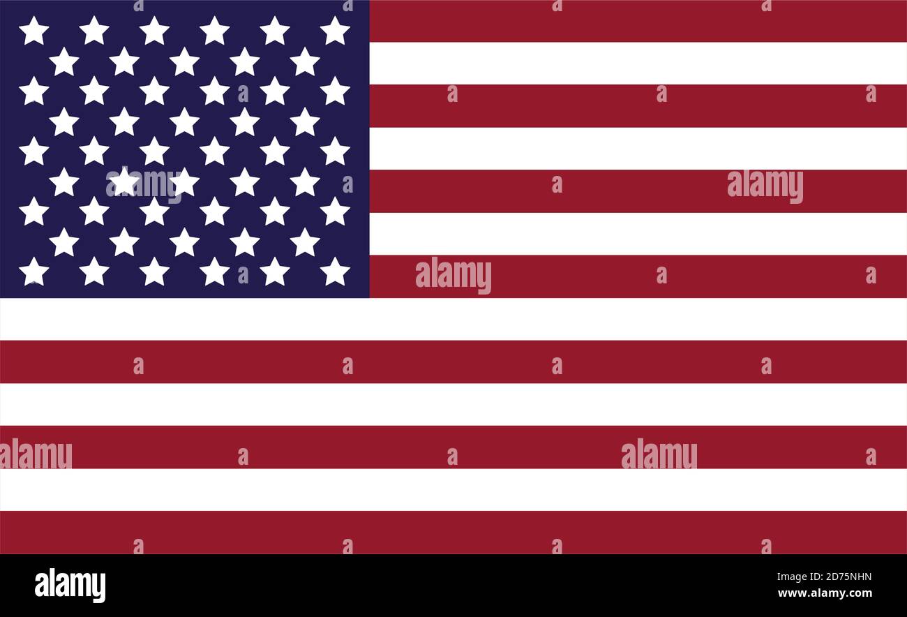 united states of america flag vector illustration design Stock Vector ...