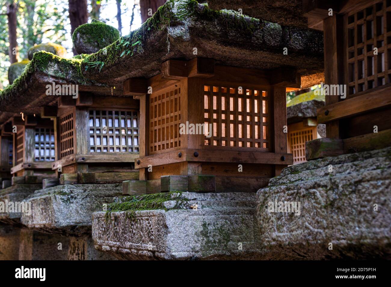 Stone and wood lantern at shinto shrine in Japan. Stock Photo