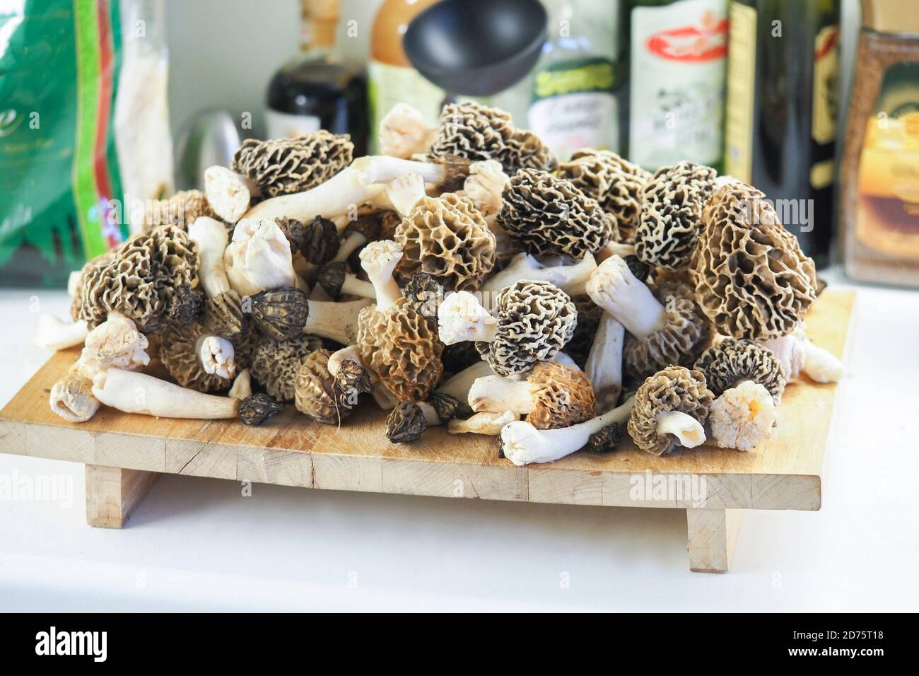 The Yellow Morel (Morchella esculenta) is an edible mushroom , stacked