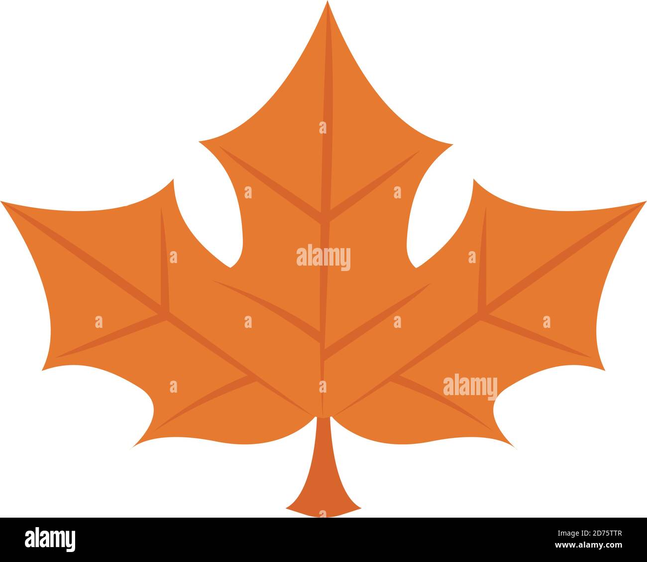 autumn maple leaf nature icon vector illustration design Stock Vector ...