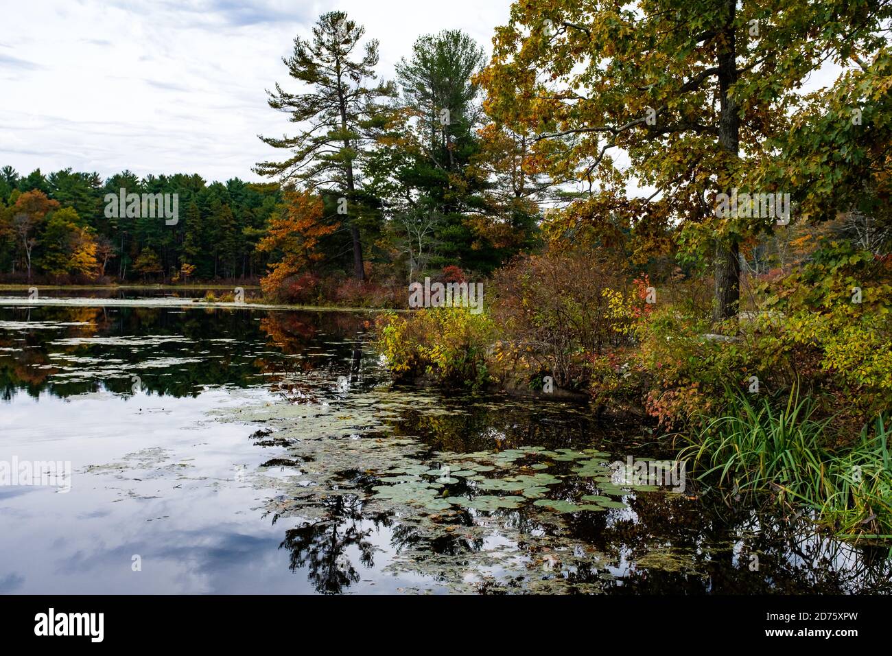 The berkshires autumn hi-res stock photography and images - Alamy