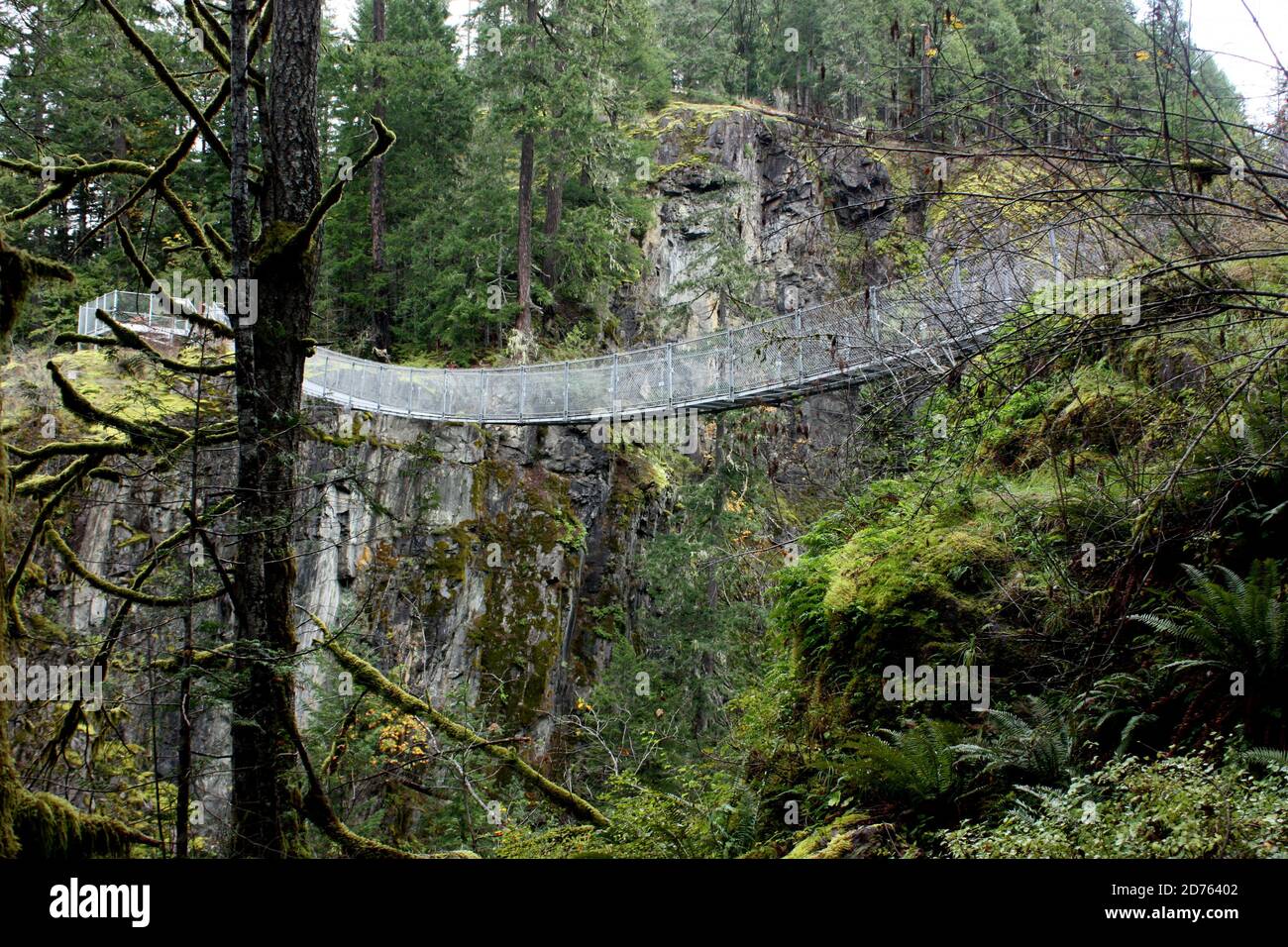 The suspension bridge in the Elk Falls Provincial Park at Campbell