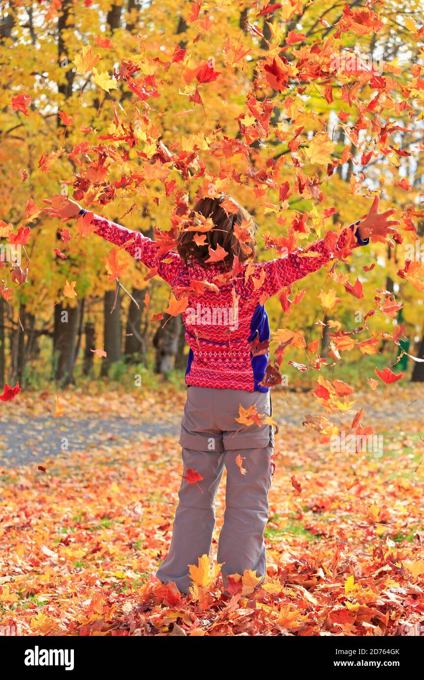 Standing young girl enjoying flying autumn colorful leaves in Quebec, Canada Stock Photo