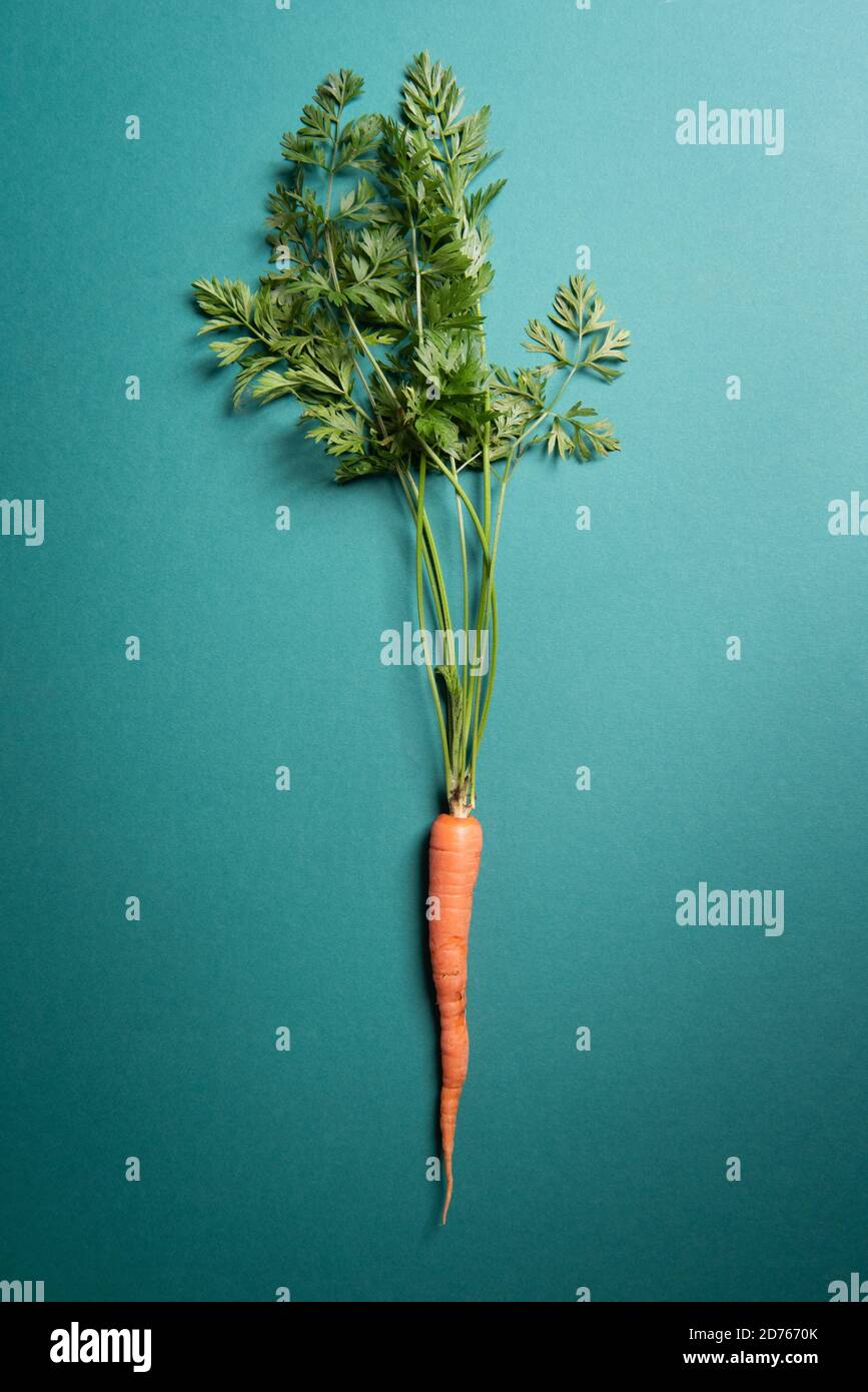 Carrot frame hires stock photography and images Alamy