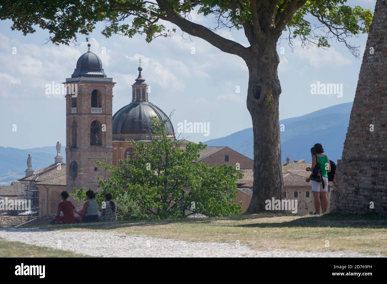 some tourists observe the city of Urbino from the hill above, under the shade of a large pine Stock Photo