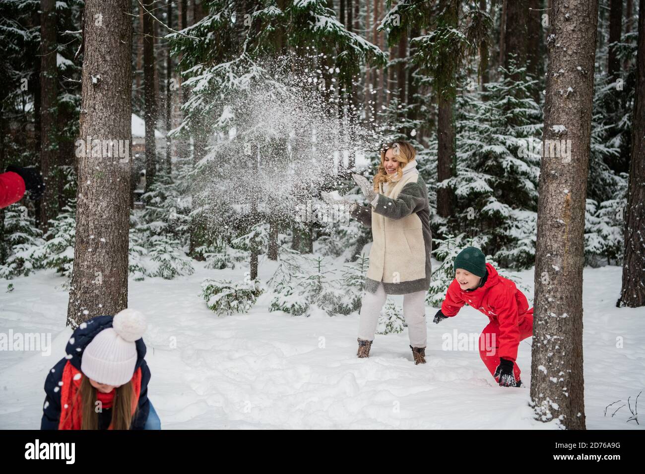 Family on a walk in the winter snow forest playing snowballs Stock ...