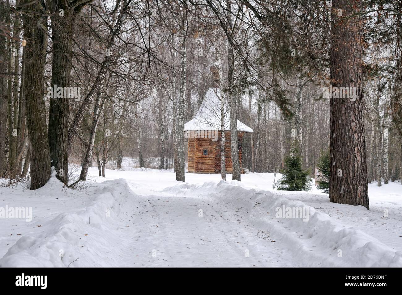 = Way to the Old Wooden Chapel in Woods in Snowfall =  Walking on a path in woods to the 18th-century wooden chapel on the grounds of the Museum of Wo Stock Photo