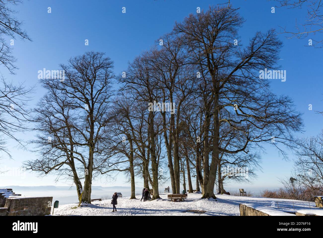 Hohenstaufen, Landschaft, Winter, Baumgruppe, Menschen Stock Photo