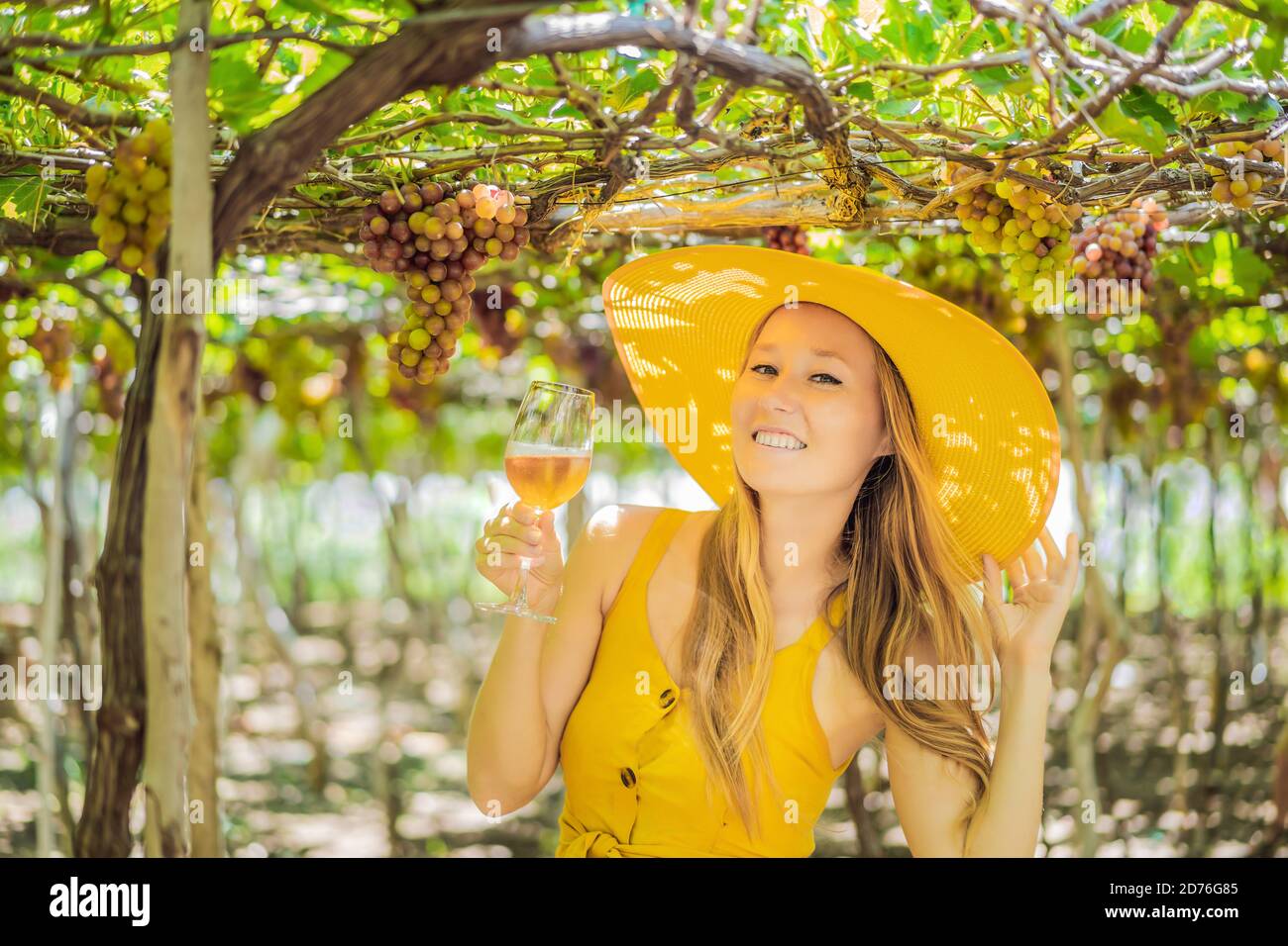 Woman with a glass of wine in the vineyard Stock Photo - Alamy