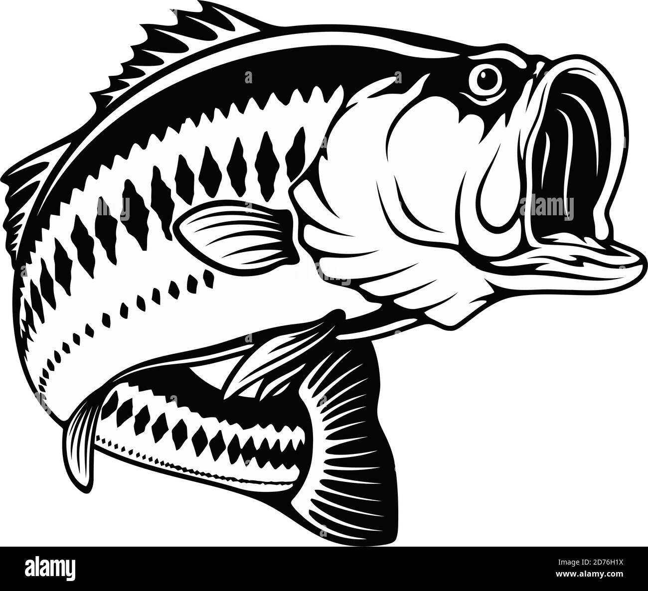 Largemouth bass in attack - template for fishing design isolated on white Stock Vector