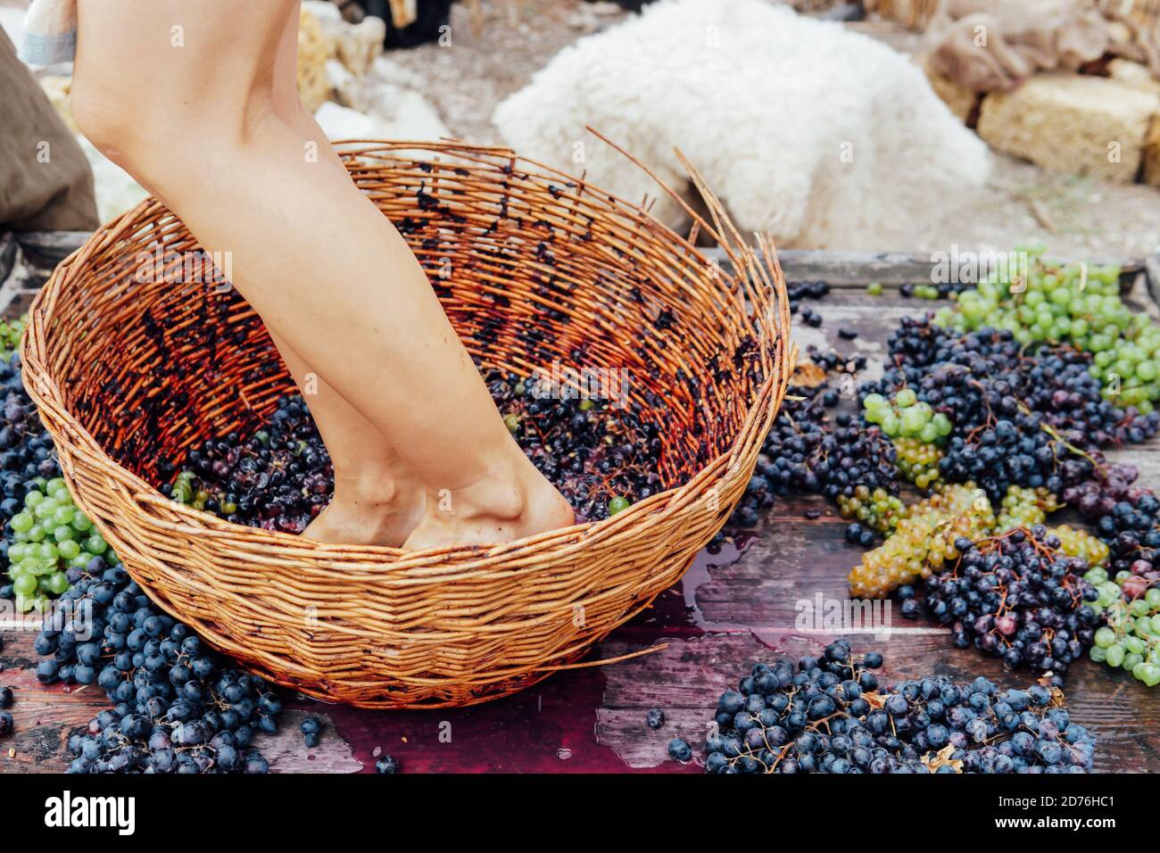 Woman crushes feet of grapes to make wine Stock Photo Alamy