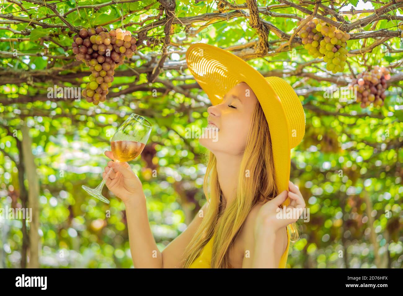 Woman with a glass of wine in the vineyard Stock Photo - Alamy