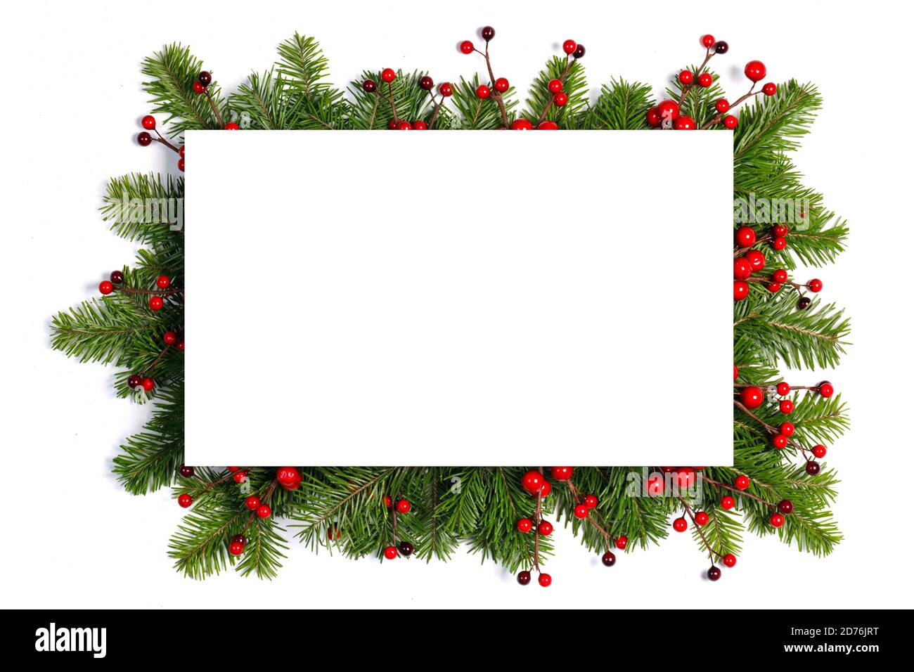 Christmas Border frame of tree branches and red berries on white ...