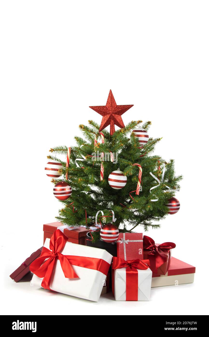 Christmas tree and gifts isolated on white background Stock Photo - Alamy