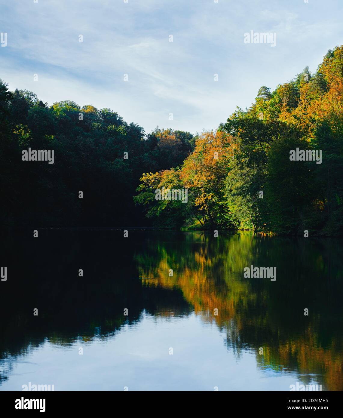 Deep shadows on leaves hi-res stock photography and images - Alamy