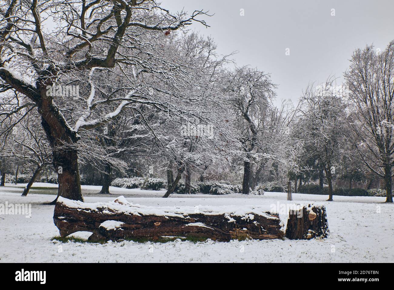 snowing day photography in winter Stock Photo