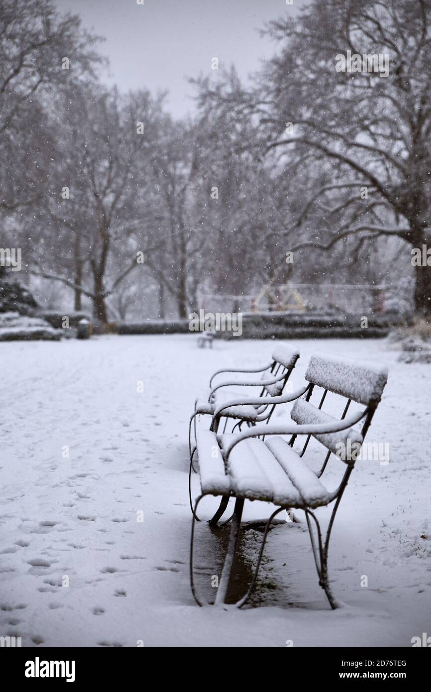 snowing day photography in winter Stock Photo