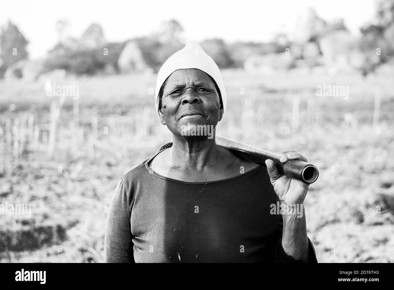 Gogo barura keeps herself busy by working on her piece of land. She is one of urban farmers who are preparing for the upcoming rain season. Zimbabwe. Stock Photo